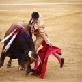 Castellón, Magdalena 2011