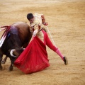 Castellón, Magdalena 2011