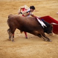 Castellón, Magdalena 2011