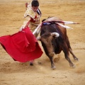 Castellón, Magdalena 2011