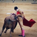 Castellón, Magdalena 2011