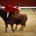Castellón, Magdalena 2011