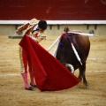 Castellón, Magdalena 2011