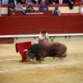 Castellón, Magdalena 2011