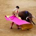 Castellón, Magdalena 2011