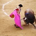 Castellón, Magdalena 2011