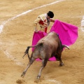 Castellón, Magdalena 2011