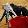 Castellón, Magdalena 2011