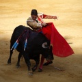 Castellón, Magdalena 2011