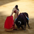 Castellón, Magdalena 2011