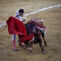 Castellón, Magdalena 2011