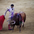 Castellón, Magdalena 2011