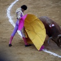 Castellón, Magdalena 2011