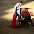 Castellón, Magdalena 2011