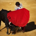 Castellón, Magdalena 2011