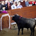 Castellón, Magdalena 2011