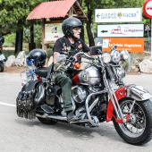 Desfile de Harley Davidson