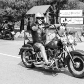 Desfile de Harley Davidson