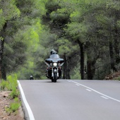 Desfile de Harley Davidson