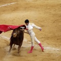 Castellón, Magdalena 2011