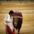 Castellón, Magdalena 2011