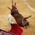 Castellón, Magdalena 2011