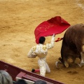Castellón, Magdalena 2011