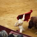 Castellón, Magdalena 2011