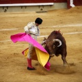 Castellón, Magdalena 2011