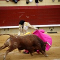 Castellón, Magdalena 2011