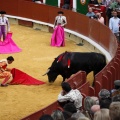 Castellón, Magdalena 2011