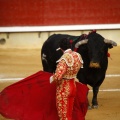 Castellón, Magdalena 2011