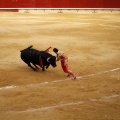 Castellón, Magdalena 2011