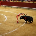 Castellón, Magdalena 2011