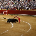 Castellón, Magdalena 2011