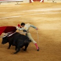 Castellón, Magdalena 2011