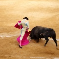 Castellón, Magdalena 2011