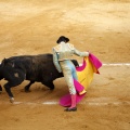 Castellón, Magdalena 2011