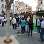 Onda, Fira de Sant Miquel