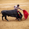 Castellón, Magdalena 2011