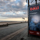 Villa Elisa - Benicàssim, Exposición Salvador Dalí