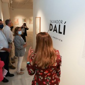 Villa Elisa - Benicàssim, Exposición Salvador Dalí