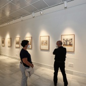 Villa Elisa - Benicàssim, Exposición Salvador Dalí