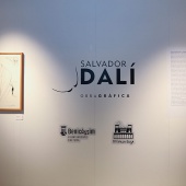 Villa Elisa - Benicàssim, Exposición Salvador Dalí