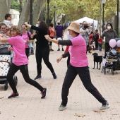 Marcha Contra el Cáncer de Mama