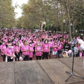 Marcha Contra el Cáncer de Mama