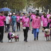 Marcha Contra el Cáncer de Mama