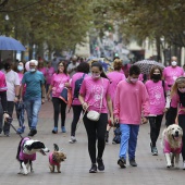 Marcha Contra el Cáncer de Mama