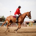 Torneo Nacional de Saltos Magdalena 2011