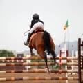 Torneo Nacional de Saltos Magdalena 2011